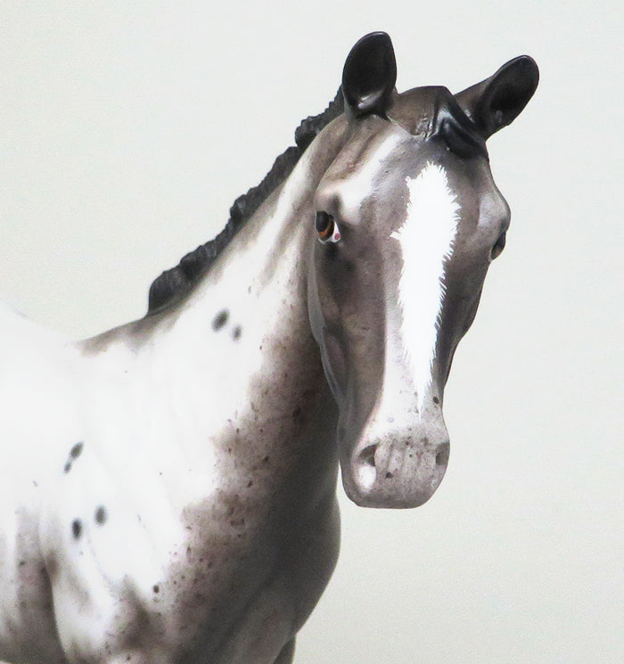 RING IN THE NEW YEAR-OOAK-VARNISH ROAN APPALOOSA WEANLING MODEL HORSE BY SHERYL LEISURE 12/30