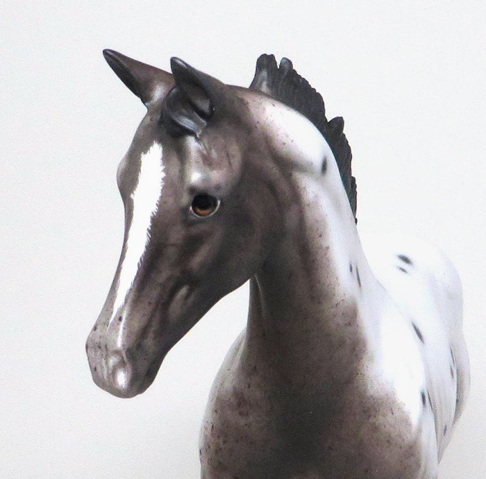 RING IN THE NEW YEAR-OOAK-VARNISH ROAN APPALOOSA WEANLING MODEL HORSE BY SHERYL LEISURE 12/30