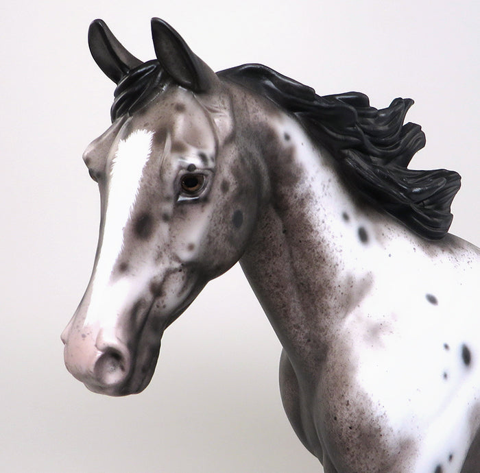 SETTING OFF SPARKS - VARNISH ROAN APPALOOSA PALOUSE MODEL HORSE by SHERYL LEISURE - 1/11