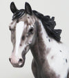 SETTING OFF SPARKS - VARNISH ROAN APPALOOSA PALOUSE MODEL HORSE by SHERYL LEISURE - 1/11