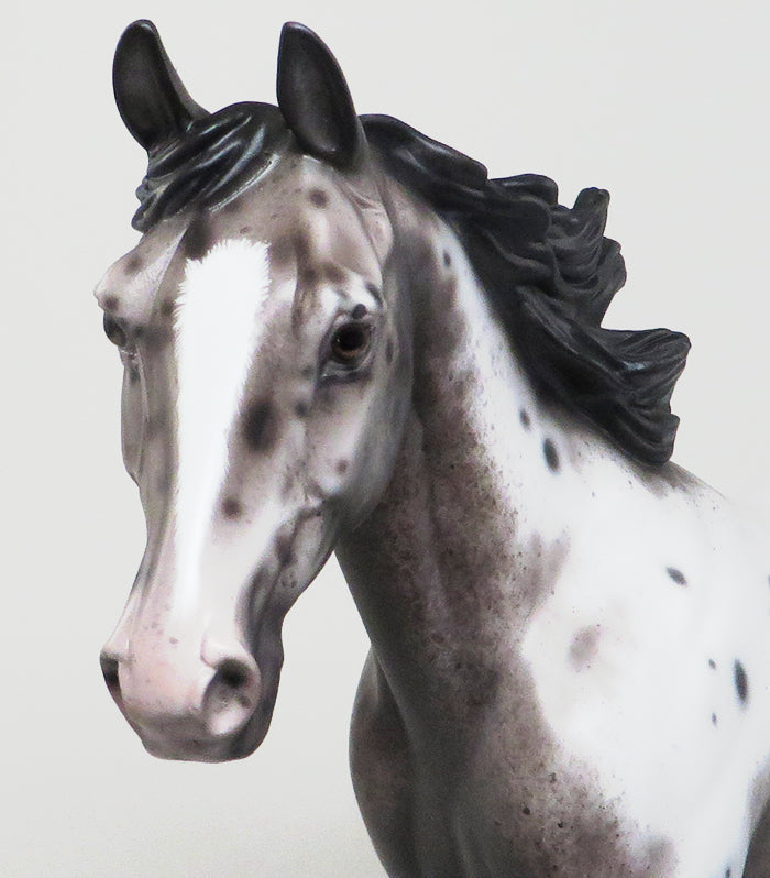 SETTING OFF SPARKS - VARNISH ROAN APPALOOSA PALOUSE MODEL HORSE by SHERYL LEISURE - 1/11