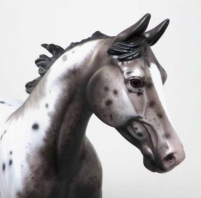SETTING OFF SPARKS - VARNISH ROAN APPALOOSA PALOUSE MODEL HORSE by SHERYL LEISURE - 1/11