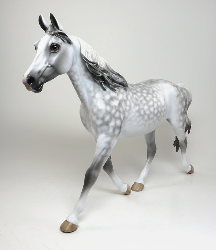 A WALK IN THE SKY-OOAK-DAPPLE GREY PALOUSE MODEL HORSE-BY SHERYL LEISURE 12/30