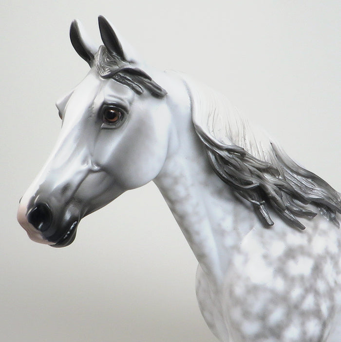 A WALK IN THE SKY-OOAK-DAPPLE GREY PALOUSE MODEL HORSE-BY SHERYL LEISURE 12/30