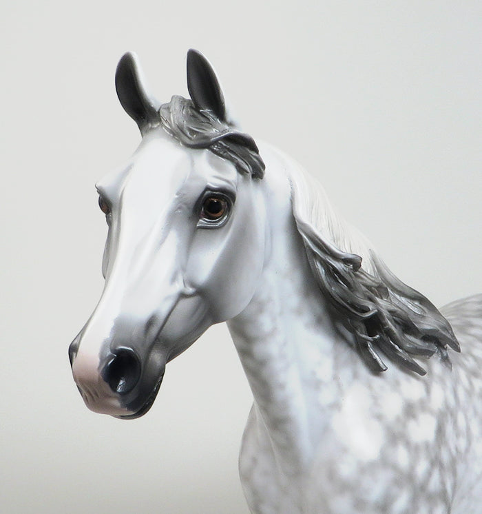 A WALK IN THE SKY-OOAK-DAPPLE GREY PALOUSE MODEL HORSE-BY SHERYL LEISURE 12/30