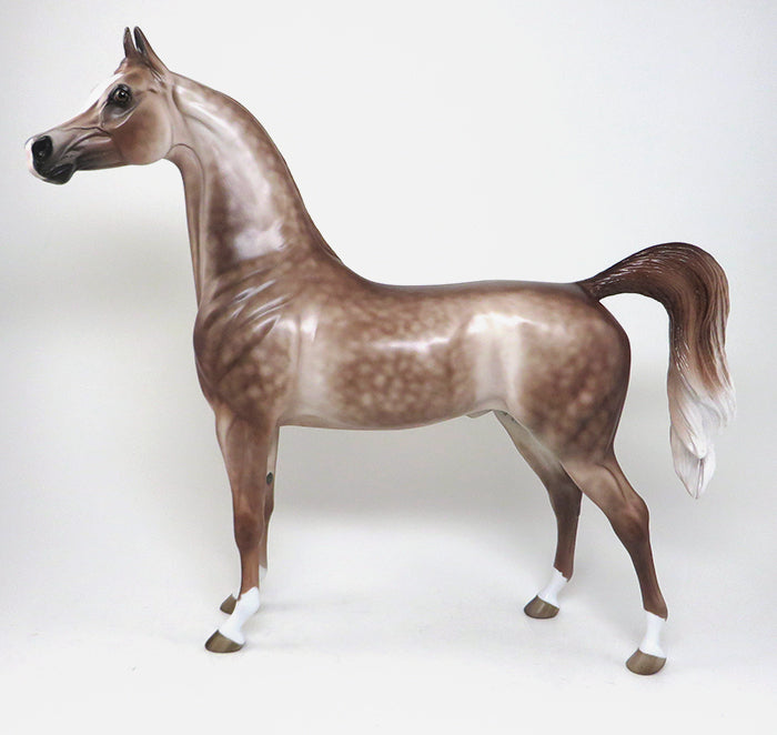  chestnut going grey arabian