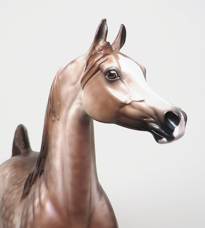 AMARETTO SOUR-OOAK-CHESTNUT GOING GREY ARABIAN MODEL HORSE SHERYL LEISURE 12/30