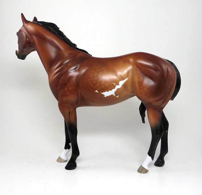 one of a kind buckskin overo 