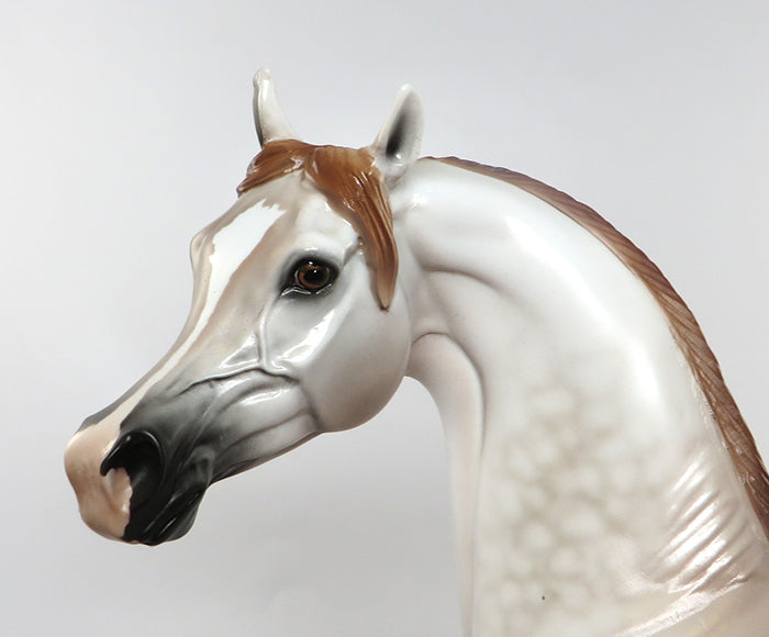 BELOVED ONE-OOAK CHESTNUT GOING GREY ARABIAN MODEL HORSE 6/29