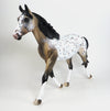 Appaloosa Palouse