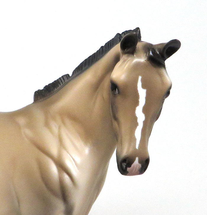 MOON GUESS - OOAK BUCKSKIN WEANLING MODEL HORSE - 1/8