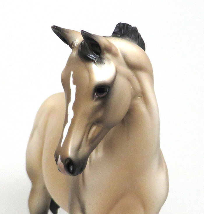 MOON GUESS - OOAK BUCKSKIN WEANLING MODEL HORSE - 1/8