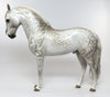 SBALORDITIVO &quot;STUNNING&quot; STAR DAPPLE GREY ANDALUSIAN STALLION MODEL HORSE  BY SHERYL LEISURE 6/24
