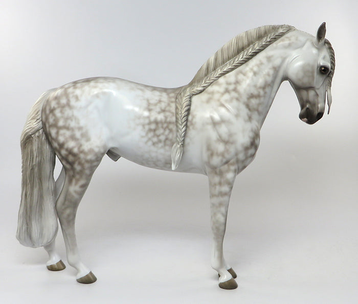 Stunning star dapple andaulsian