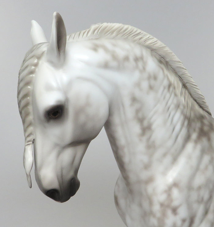 SBALORDITIVO &quot;STUNNING&quot; STAR DAPPLE GREY ANDALUSIAN STALLION MODEL HORSE  BY SHERYL LEISURE 6/24