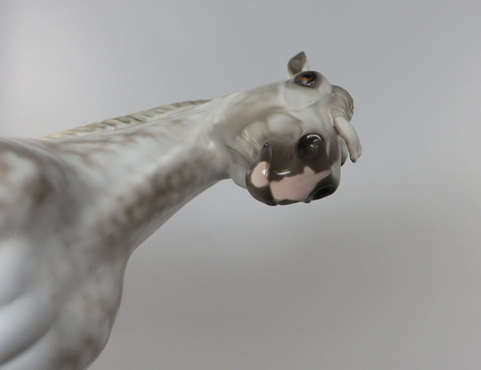 SBALORDITIVO &quot;STUNNING&quot; STAR DAPPLE GREY ANDALUSIAN STALLION MODEL HORSE  BY SHERYL LEISURE 6/24