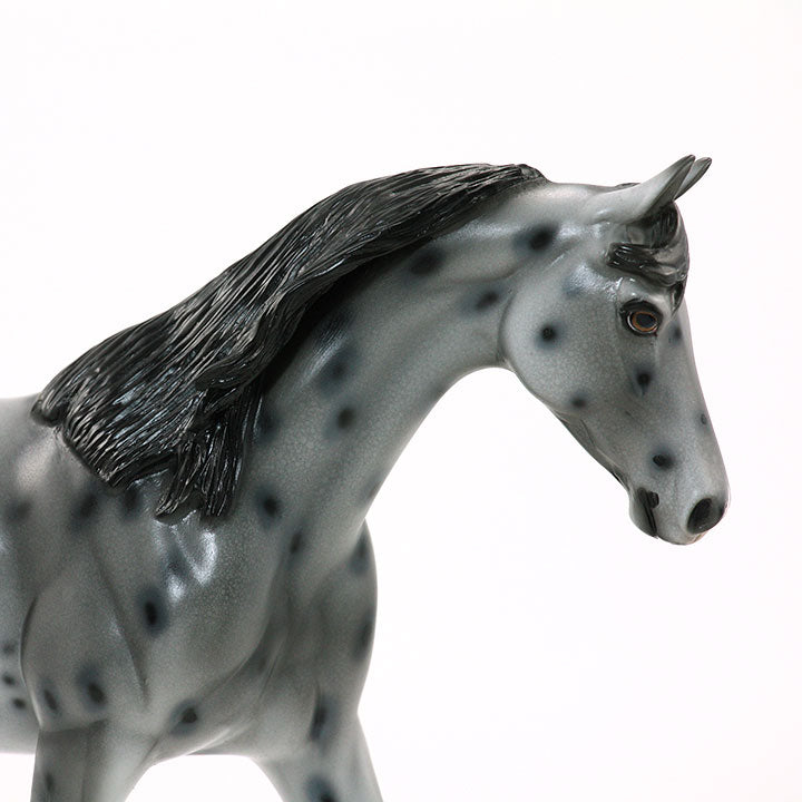 CATCH THE WIND - OOAK Appaloosa Model Horse Pony - 5/15