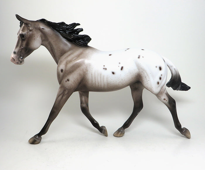 derulo varnish roan appaloosa