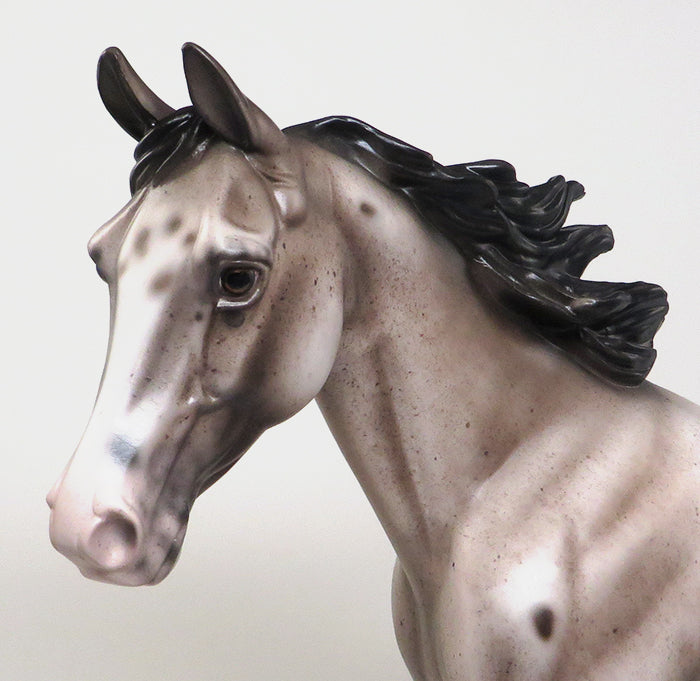 DERULO-VARNISH ROAN APPALOOSA MODEL HORSE BY SHERYL LEISURE 1/4