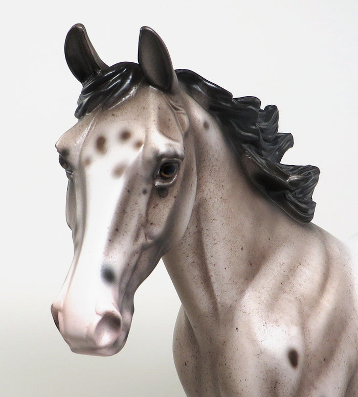 DERULO-VARNISH ROAN APPALOOSA MODEL HORSE BY SHERYL LEISURE 1/4