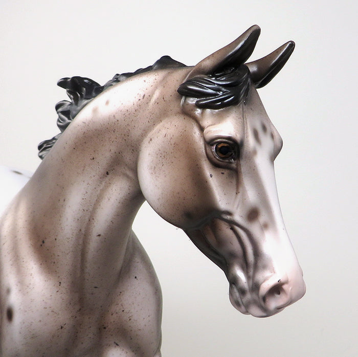 DERULO-VARNISH ROAN APPALOOSA MODEL HORSE BY SHERYL LEISURE 1/4