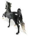 saddlebred