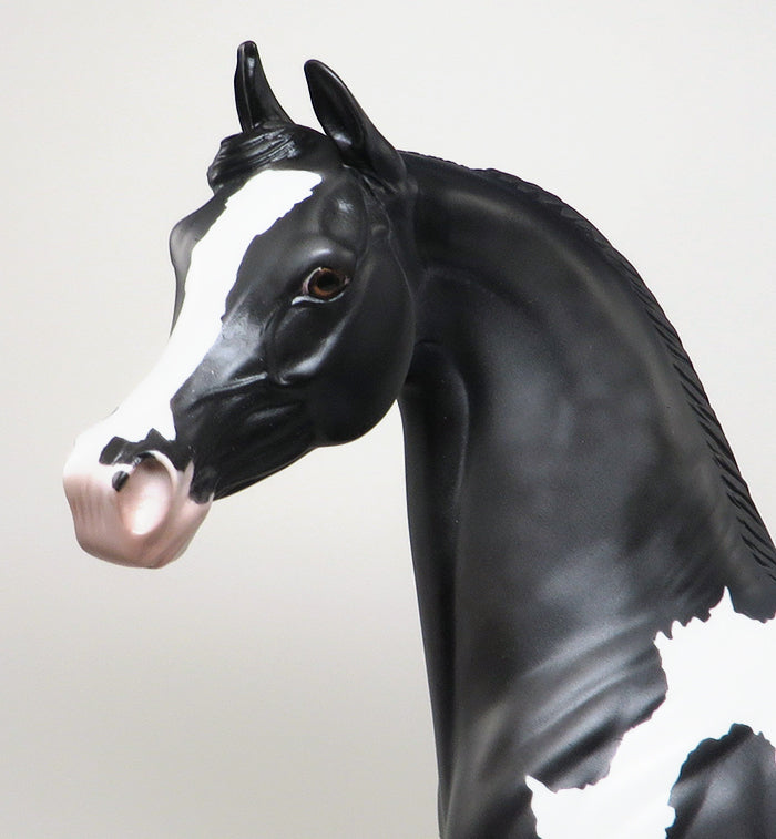 DARK SHADOWS - LIMITED EDITION DARK DAPPLE GREY PAINT ARABIAN MODEL HORSE - LE3 - 1/18