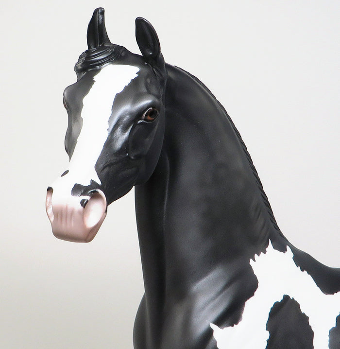 DARK SHADOWS - LIMITED EDITION DARK DAPPLE GREY PAINT ARABIAN MODEL HORSE - LE3 - 1/18