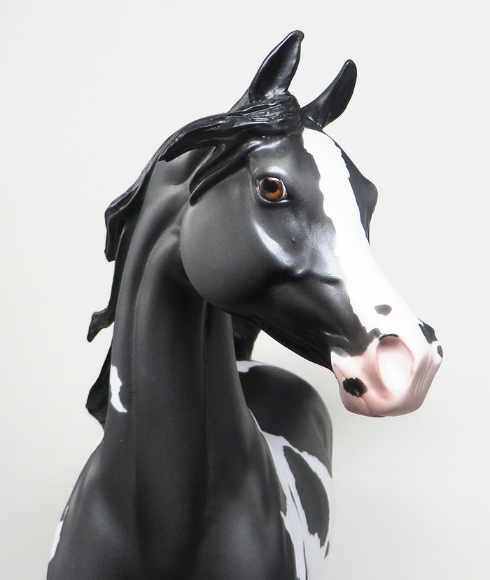 DARK SHADOWS - LIMITED EDITION DARK DAPPLE GREY PAINT ARABIAN MODEL HORSE - LE3 - 1/18