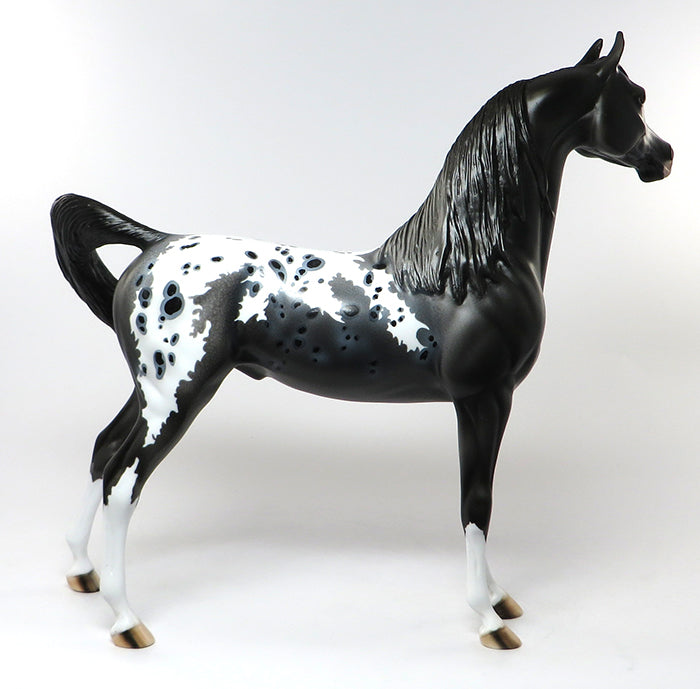 MIDNIGHT COWBOY-OOAK LOUD APPALOOSA ARABIAN MODEL HORSE 6/29