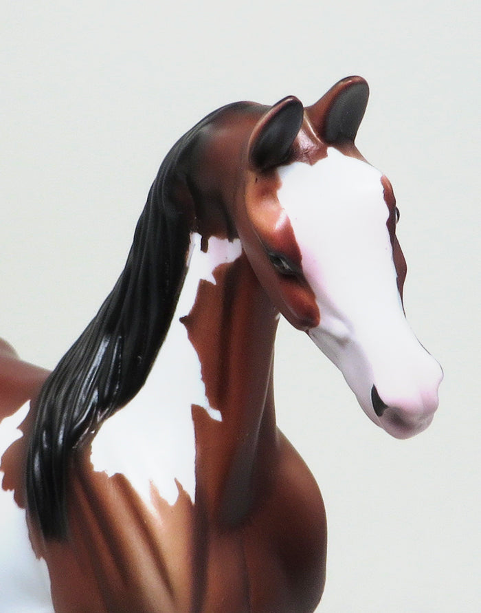 CHARLESTON - LIMITED EDITION BAY PAINT PEBBLES SADDLEBRED MODEL HORSE - LE12 - 1/18