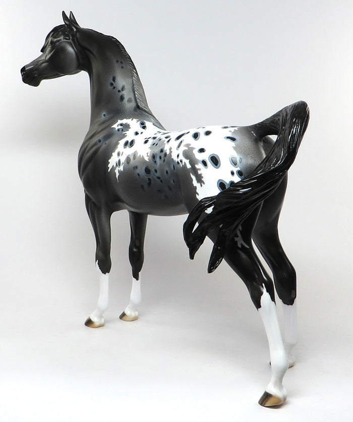MIDNIGHT COWBOY-OOAK LOUD APPALOOSA ARABIAN MODEL HORSE 6/29