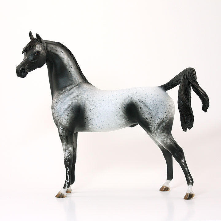 ZONERIE - OOAK Gray Appaloosa Arabian Model Horse - 6/15