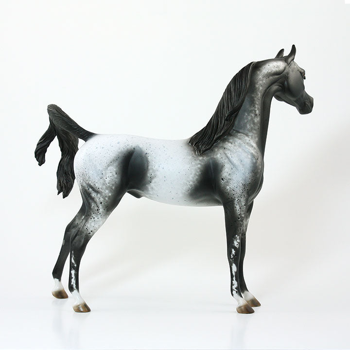 ZONERIE - OOAK Gray Appaloosa Arabian Model Horse - 6/15