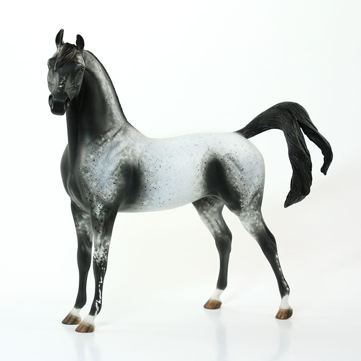 ZONERIE - OOAK Gray Appaloosa Arabian Model Horse - 6/15