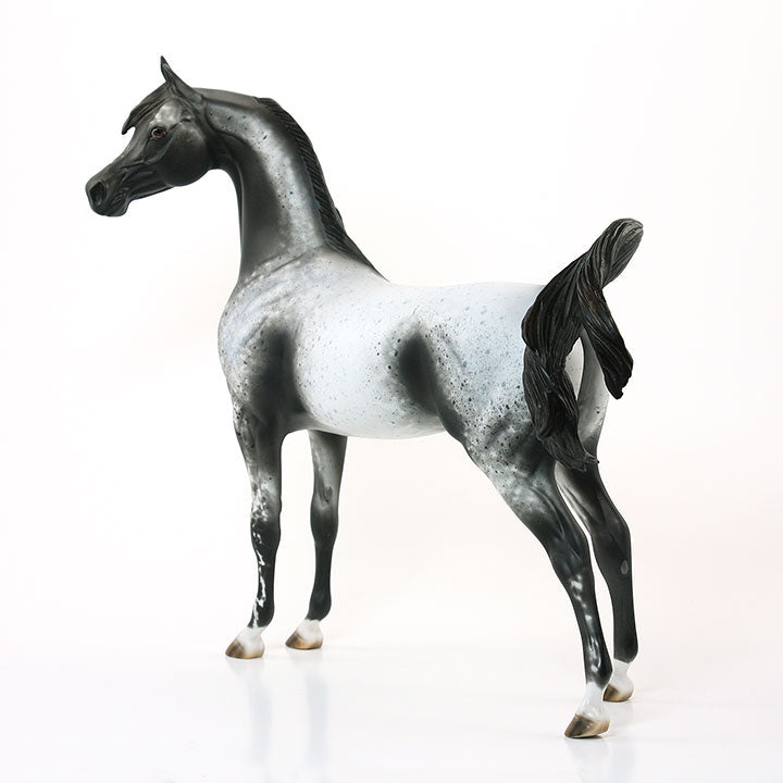 ZONERIE - OOAK Gray Appaloosa Arabian Model Horse - 6/15