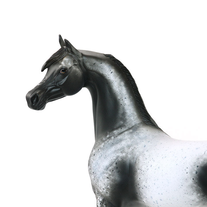 ZONERIE - OOAK Gray Appaloosa Arabian Model Horse - 6/15