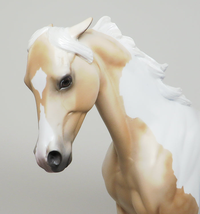 THOROUGHBRED LIMITED EDITION 