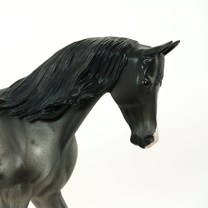 BEAMER - OOAK Blue Roan Thoroughbred 6/15