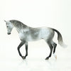 MOON DUST - OOAK Dapple Grey Thoroughbred 6/15