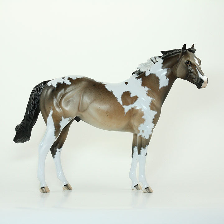 MUKURU - OOAK Stock Horse Sooty Buckskin Pintoloosa 6/15