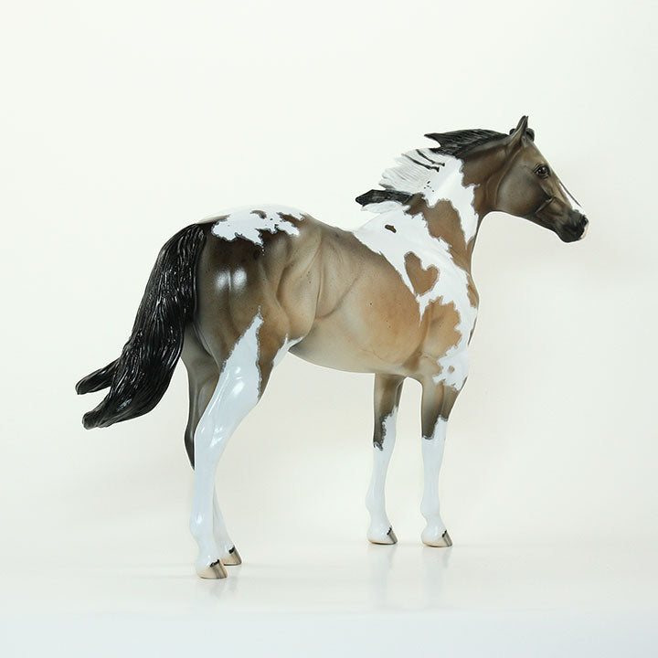 MUKURU - OOAK Stock Horse Sooty Buckskin Pintoloosa 6/15