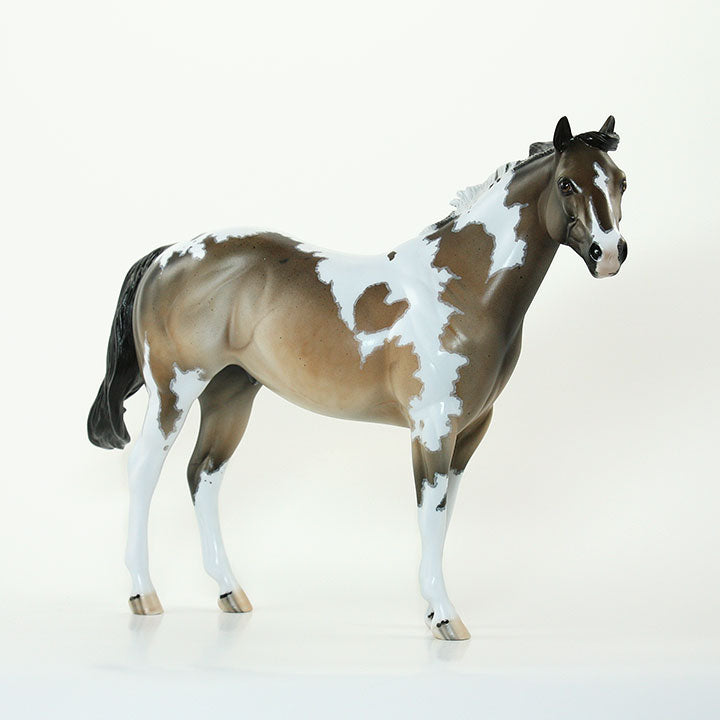 MUKURU - OOAK Stock Horse Sooty Buckskin Pintoloosa 6/15