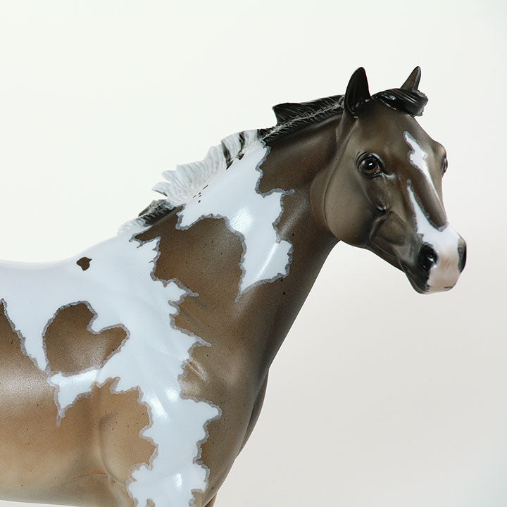 MUKURU - OOAK Stock Horse Sooty Buckskin Pintoloosa 6/15