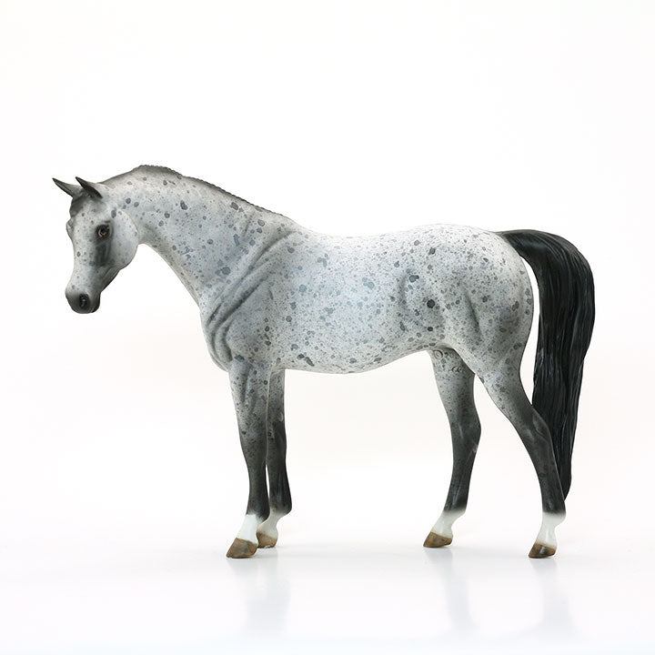 SHEZA SCOTTISH LASS - OOAK Appaloosa Arabian Model Horse Pebble - 6/15