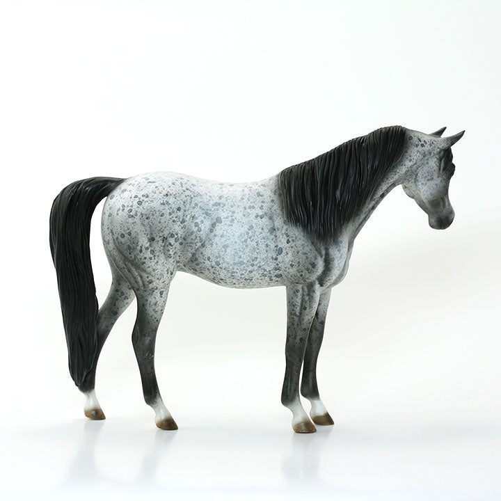 SHEZA SCOTTISH LASS - OOAK Appaloosa Arabian Model Horse Pebble - 6/15