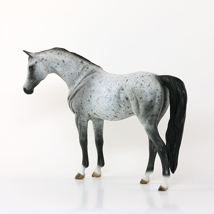 SHEZA SCOTTISH LASS - OOAK Appaloosa Arabian Model Horse Pebble - 6/15