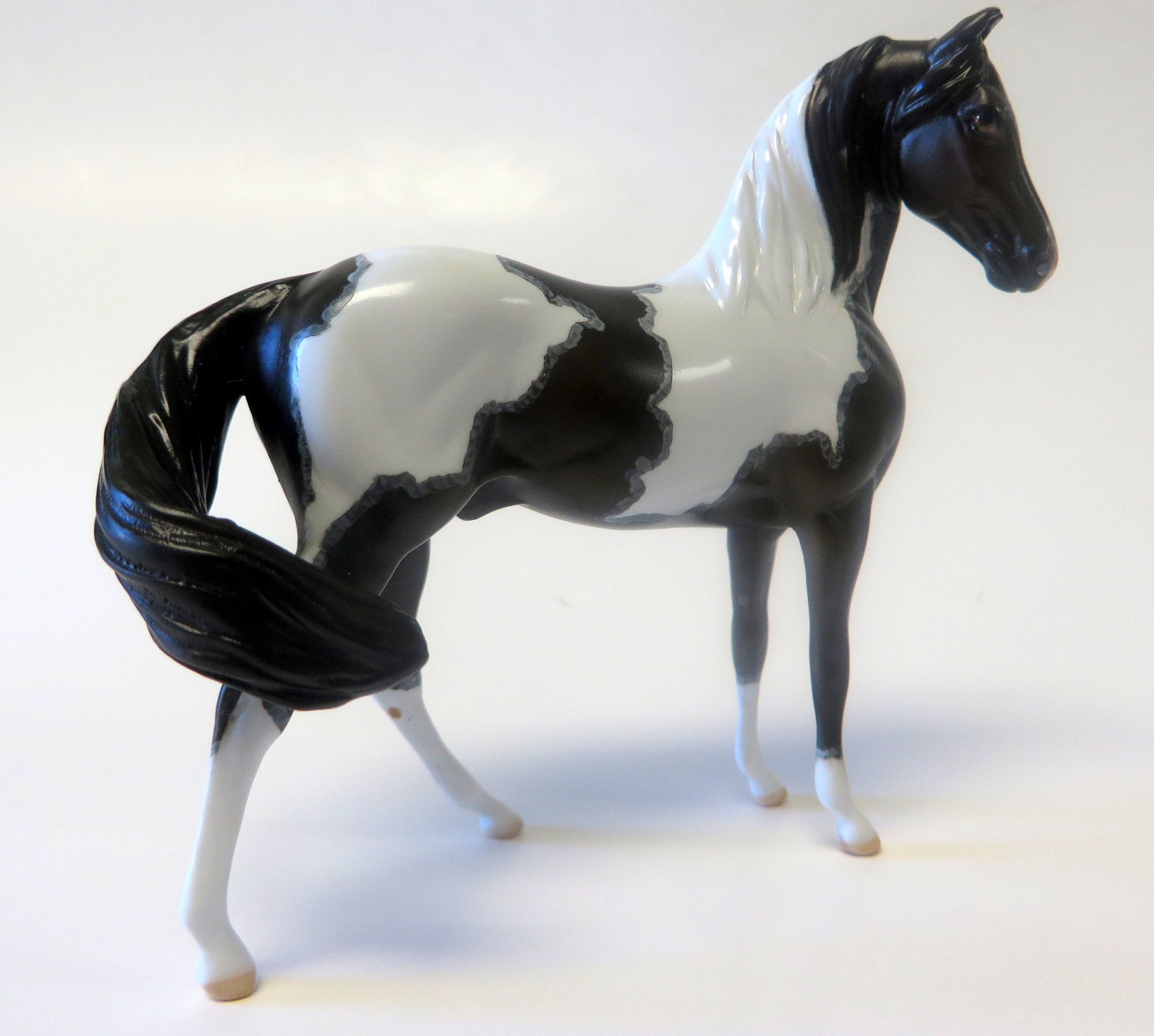 RAJA - Marawari Seal Bay Pinto W/ Mapping - LE7 - The Little Horse Show - 9/23