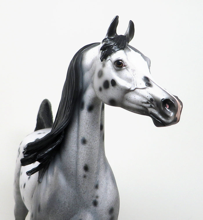 WATCHING FIREWORKS - OOAK APPALOOSA  ARABIAN 12/31