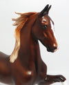 saddlebred